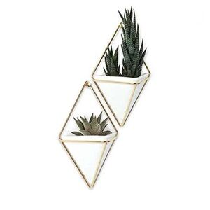 Umbra White and Gold Geometric Wall Planter Pair